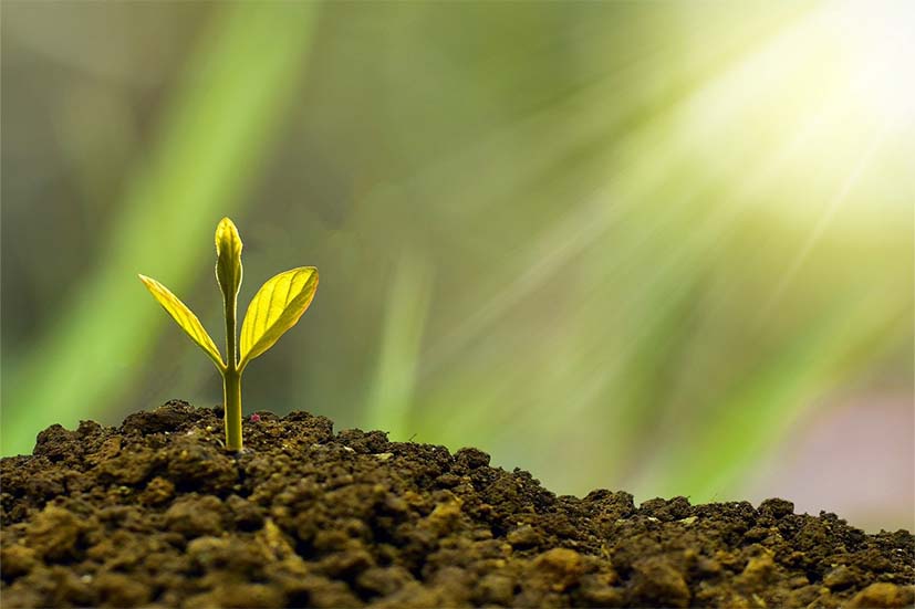 Growth Marketing Agency